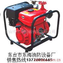 东台市东海消防设备厂 充气泵产品列表
